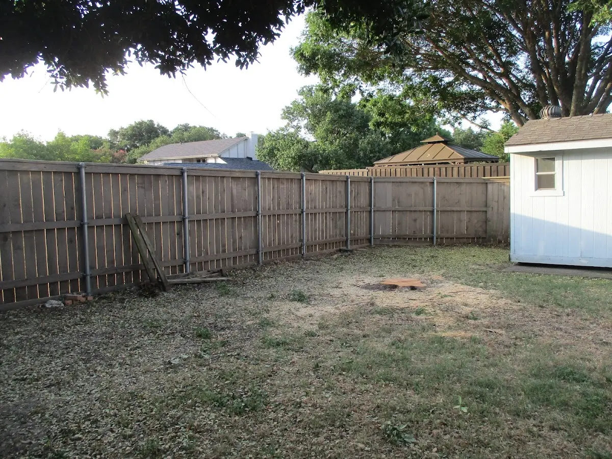 Cleared yard after professional tree removal in Laingsburg